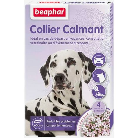Colliers calmants pour chien