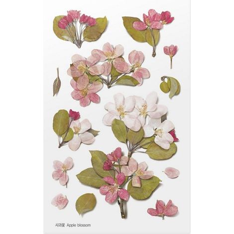 Autocollants décoratifs à fleurs - Pommier