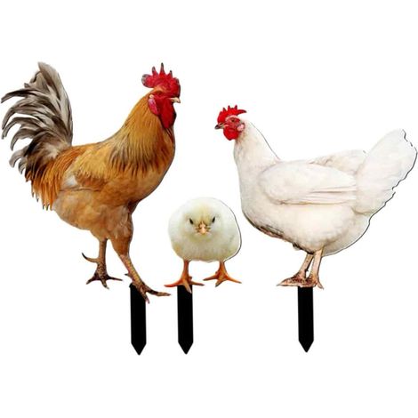 3 piquets décoratifs pour jardin, coq poule poussin, métal résistant aux intempéries, décoration extérieure pour pelouse et cour (1/5)