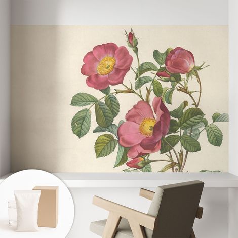 Papier peint avec colle pour décoration moderne de salon chambre à coucher cuisine et bureau Facile Motif de roses 104x70 cm (1/5)