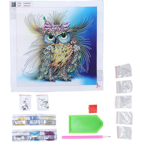 Tableau de Décoration Murale DIY avec Motif Hibou Étincelant et Lumineux (1/5)