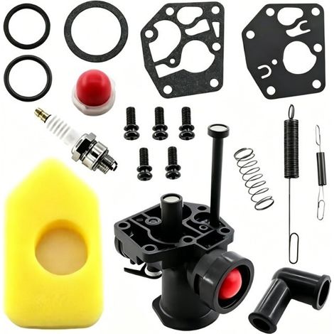 Kit Carburateur Tondeuse Briggs Stratton 499809 Filtre Air 698369 Ressort 691859 YYV (1/5)