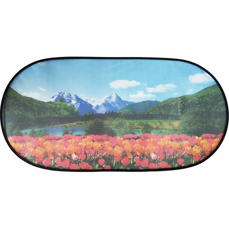 Tendina Posteriore auto 50x100 cm richiudibile con grafica (1/2)