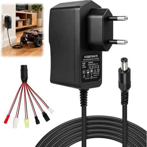 Intelligent RC Chargeur pour Batteries NiMH/NiCd 2-10S 2.4-12V avec 6 Adaptateurs Universels Tamiya standard, Mini Tamiya, SM 2P, JST, XH pour Voitures RC, Bateau, Avion, Drones (1/5)