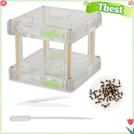 Tbest Château de fourmis en acrylique Boîte de Présentation de Nid de Fourmis en Acrylique, Château de Fourmis apiculture (support (1/5)