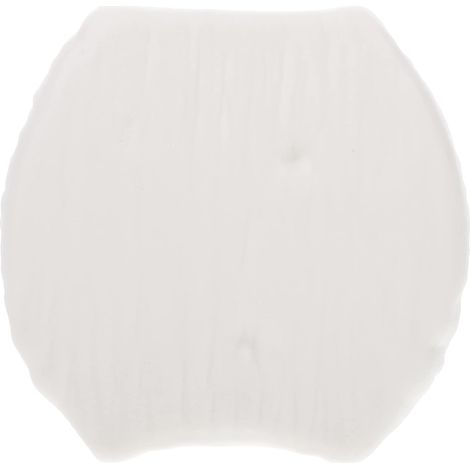 Vase Décoratif en Céramique Blanche pour Hydroponie, Style Simple (1/5)