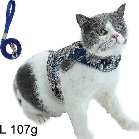 Harnais et laisse pour chaton, anti-fugue, petit modèle, ajustable. (1/5)