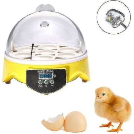 Incubateur à œufs entièrement automatique pour volaille. ensemble de 7 pièces. contrôle de la température. incubateur pour œufs de poule