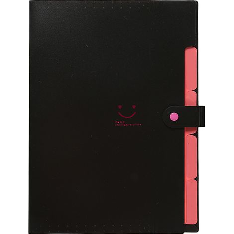 1 classeur accordéon à 5 compartiments, format A4, pochette organisatrice de documents, extensible, avec onglets (1/5)