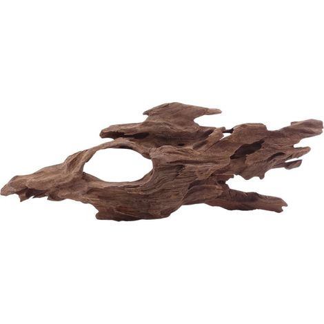 M Honey Comb Wurzel Nr.5183 Holz Deko Aquascaping