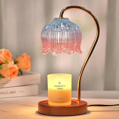Chauffe-bougie électrique avec minuterie et 2 ampoules - Hauteur réglable - Pour anniversaire, Saint-Valentin, femme - Bleu et rose (1/5)