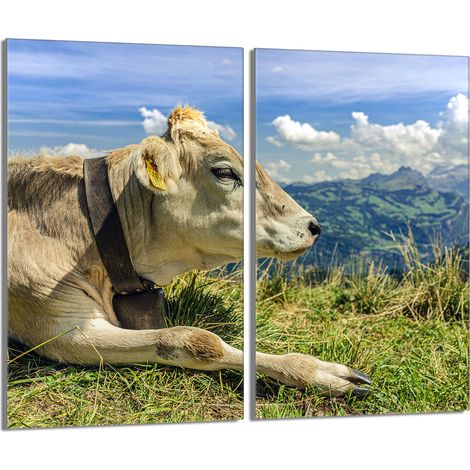 Plaque de protection en verre pour le poêle 2x30x52 Vache (1/5)
