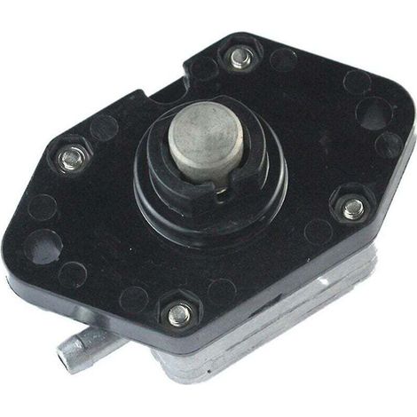 Vtizikl Pompe à carburant Df6 pour Suzuki Df4 Df6a 138cc Sea Pro et plus 4 temps 4hp (1/4)