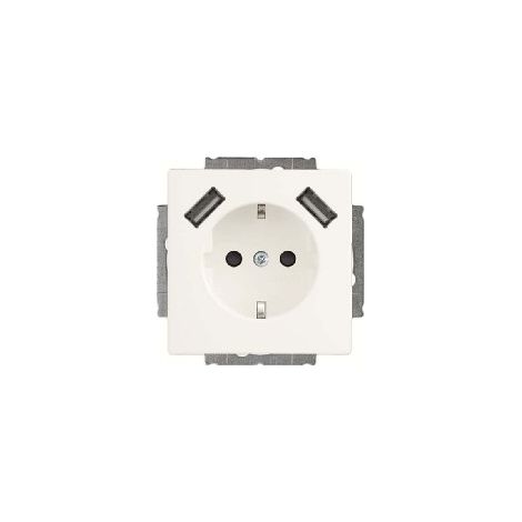 Busch-Jaeger SCHUKO-2x USB Steckdose 20 EUCB2USB-884