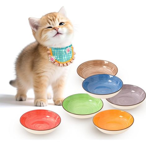 Lot de 6 Bols en Céramique pour Chat, Gamelle Large et Peu Profonde pour Nourriture et Eau, Design Peint à la Main, Passe au Lave-Vaisselle