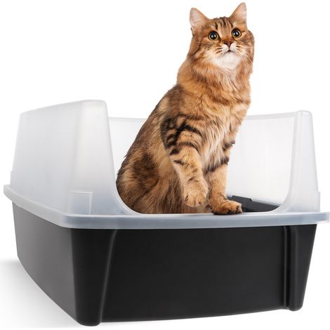 Iris Ohyama Offene Katzentoilette XL – Große Katzenstreubox ohne Deckel, Hoher Rand, Einfach zu Reinigen, Spritzschutz, Für Große Katzen & Kätzchen, BPA-freier Kunststoff