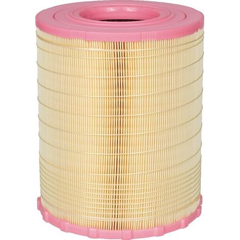 Filtro de aire MANN-FILTER C29010 (1/2)