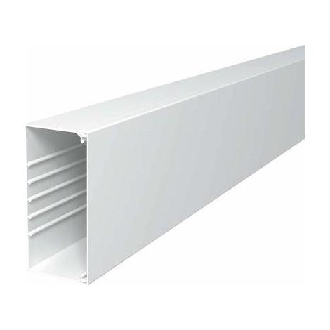 OBO Bettermann Canal de pared y techo con perforación en el fondo 80x170x2000 Cloruro de polivinilo blanco puro RAL 9010, 6191304