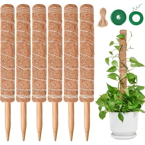 Lot de 6 tuteurs en mousse de 40 cm pour Monstera, supports extensibles pour plantes Monstera, tuteurs en mousse de coco pour plantes grimpantes de jardin et plantes d'intérieur (1/5)