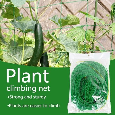Filet d'escalade de plantes treillis de jardin filet d'escalade de fleurs pour Support de plantes vigne fleur raisins fruits 27 brins (1,8 m x 2,7 m) (1/5)