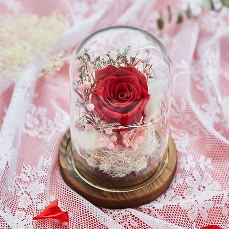 Rose éternelle rouge sous cloche en verre avec lumière LED et socle en bois - Cadeau romantique avec carte de vœux pour Saint-Valentin et fête des mères (1/5)