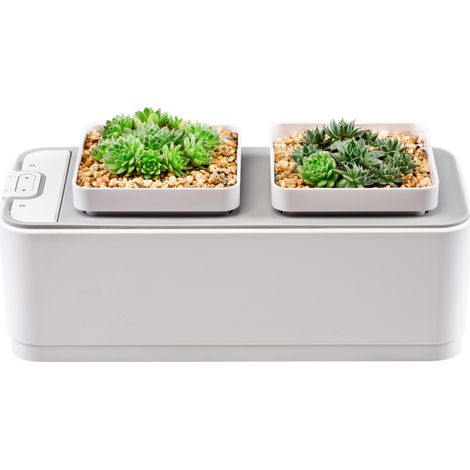 Sistema de cultivo hidropónico de interior, maceta de escritorio, indicador de nivel de agua, sin tierra, 2 macetas para el hogar, la oficina, verduras, flores y hierbas, jardinería. (1/5)