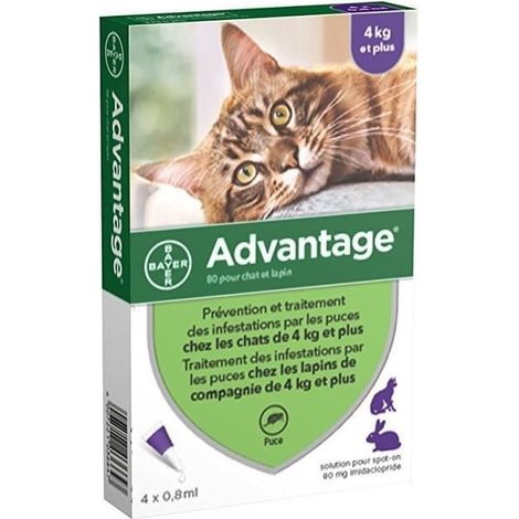 ADVANTAGE 80 - 4 pipette antiparassitarie - Per gatti e conigli di 4 kg e oltre