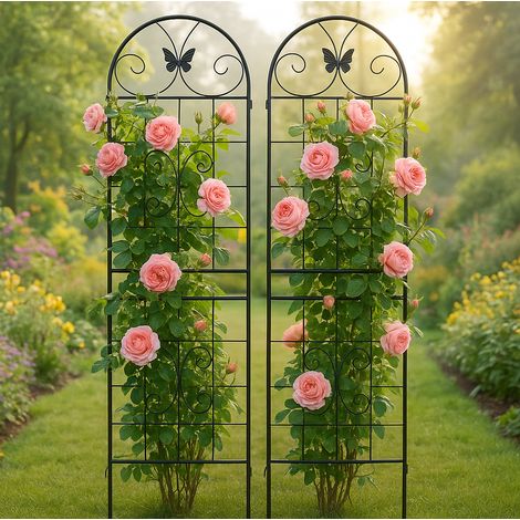 Rejilla metálica para plantas trepadoras, set de 2, negra OKMYHOME (1/5)