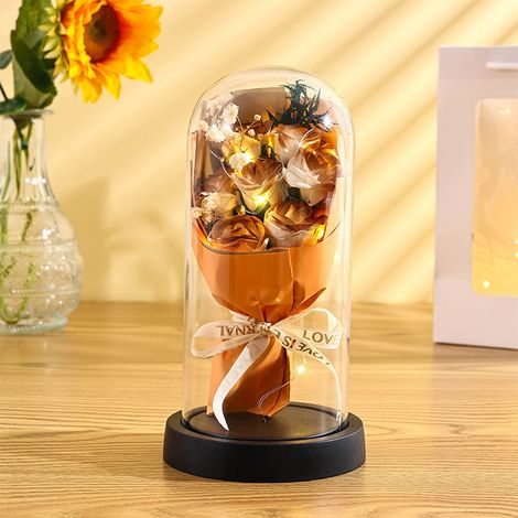 Rose Préservee - Dôme En Verre Avec Éclairage LED - Cadeau Pour Anniversaire Noël Saint Valentin Fête Des Mères - 22 x 12 cm - 1 Pièce (1/5)