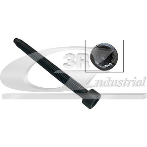 3RG 99701 TORNILLO INYECTOR