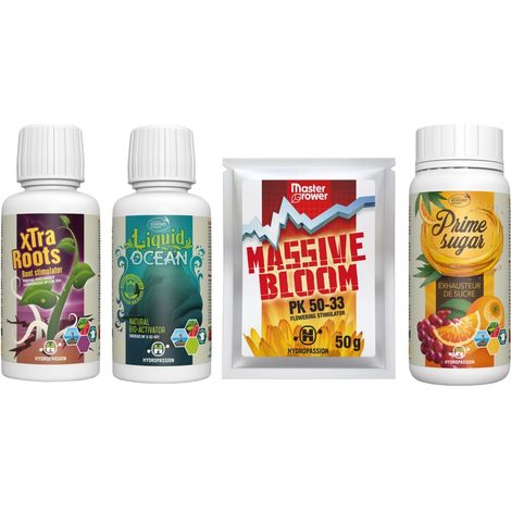 Pack boosters MASTER GROWER - Hydropassion