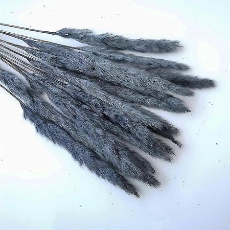 15 pièces de roseaux, épis de blé de la pampa, queue de lapin, fleurs séchées naturelles, bouquet, décoration de mariage, de Noël ou de décoration intérieure-dark grey15pcs