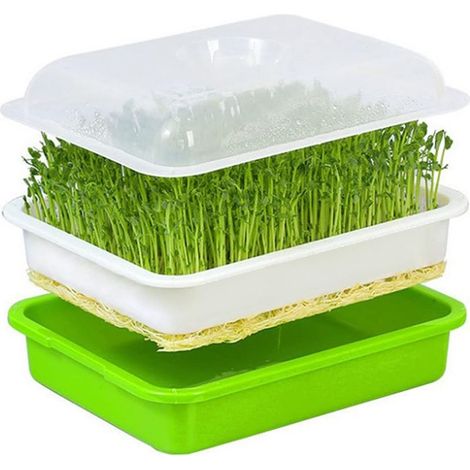 Germoir pour Graines à Germer, Germoir avec Couvercle, Bac de Culture Plastique pour Semis, pour Jardin Maison Bureau (1/5)