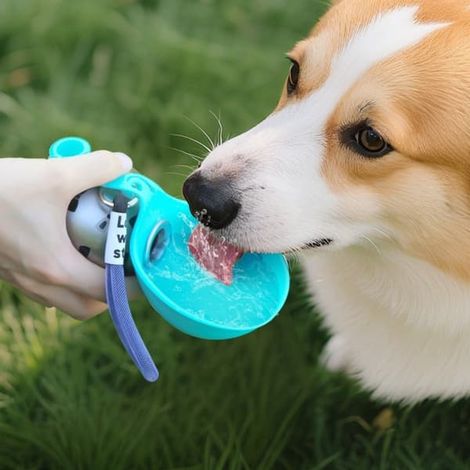 Bouteille d'eau portable 285ML pour animaux de compagnie - 304 aliments pour animaux de compagnie avec sacs en silicone pour chiens et chats pour animaux de compagnie Rose Rose