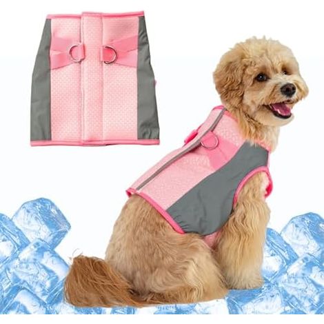 Gilet Refroidissant Ultra-Leger Chien, Maille Respirant, Ete, Reflechissant, Reglable, Promenade (1/5)
