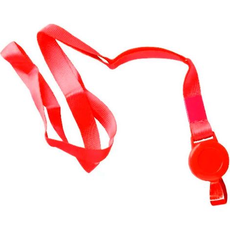Cinta para acreditaciones, 25 uds
