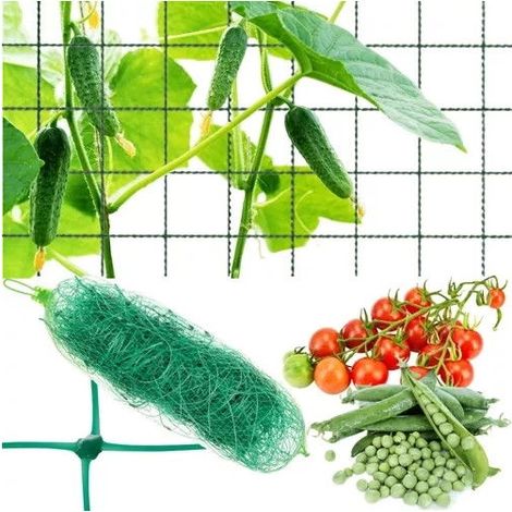 Filet à plantes 2x10m pour plantes grimpantes & légumes (1/4)