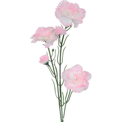 Un rametto di cinque garofani rosa e bianchi (1/4)