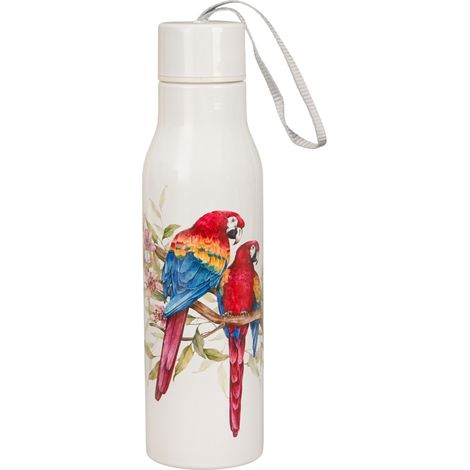 Botella térmica de acero inoxidable Thermos de 500 ml con diseño de guacamayo escarlata (1/4)