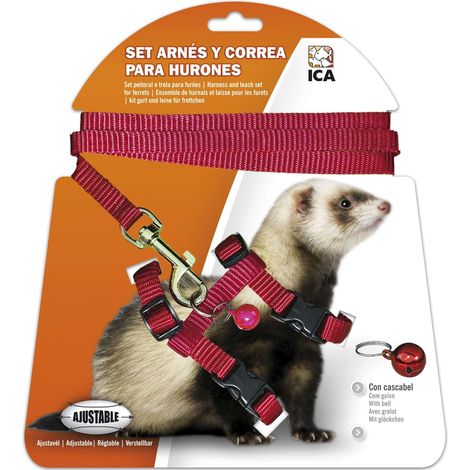 ICA DA970 Set Imbracatura e Cinghia per Furetti, Rosso