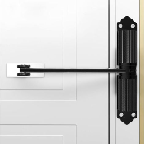 Chiudiporta automatico - Forza di chiusura regolabile - Leva di regolazione a molla - Chiudiporta per porte da giardino, porte d'ingresso, porte esterne, porte di camere da letto, porte di uffici, can (1/4)