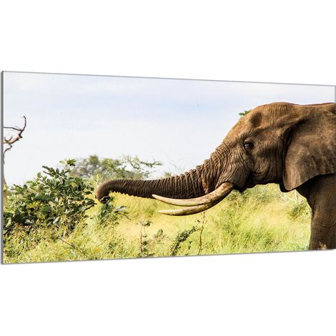 Glasschutzplatte für den Herd 90x52 Elefant (1/5)