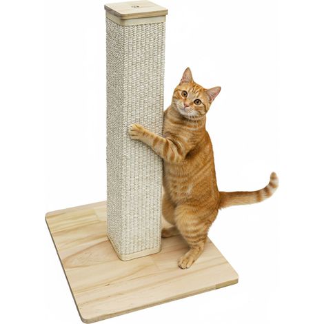 62 cm Árbol Rascador para Gatos y Gatitos - Poste Cuerda Sisal con Base Bambú (1/5)