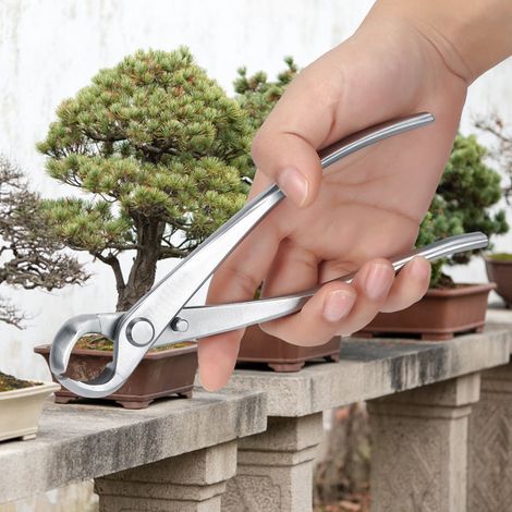 Ciseaux de jardin pour plantes en pot et bonsaï, outil de taille des branches de 183 mm (1/5)