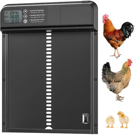 Porte automatique pour poulailler - Fonctionne sur piles - Aluminium - Minuterie - Capteur anti-pincement - Écran LCD - Étanche - Convient aux poules, canards et oies - Grande taille (1/4)