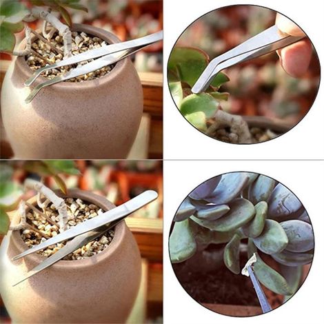 Ensemble d'outils de jardinage miniatures pour la plantation, outil de transplantation pour plantes succulentes. (1/5)