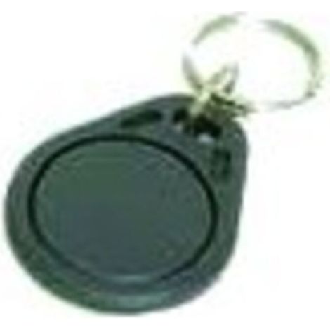 Transpondeur Porte Cles 125Khz