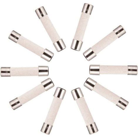 10x Zeitträge Keramiksicherung (T) 10A / 250VAC 5x20mm (1/4)