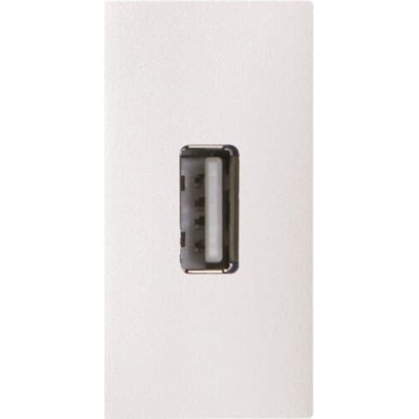 Zenit Chargeur Usb 2.0 - 1M - Blanc - Femelle 2CLA215590N1101 ABB N2155.9BL