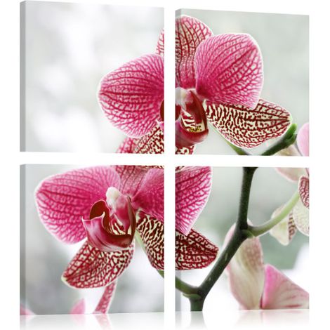 Tableau Imprimé "Orchidée de Fantaisie" 40 x 40 cm (1/2)